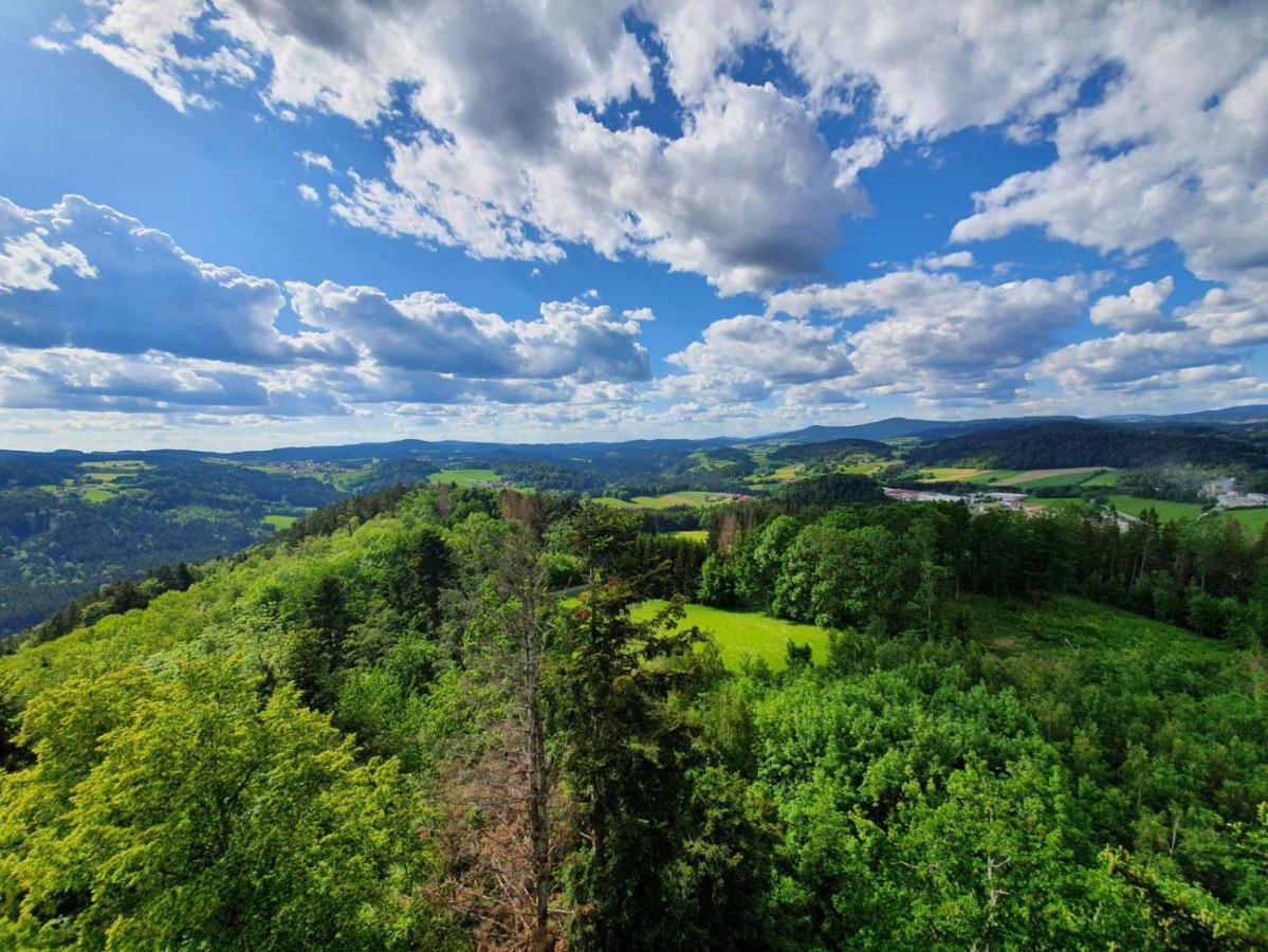 Апартаменты Haus Bergblick Маут Экстерьер фото